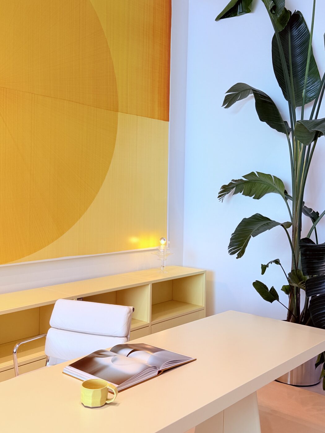 Mur jaune et plante dans une salle de musée